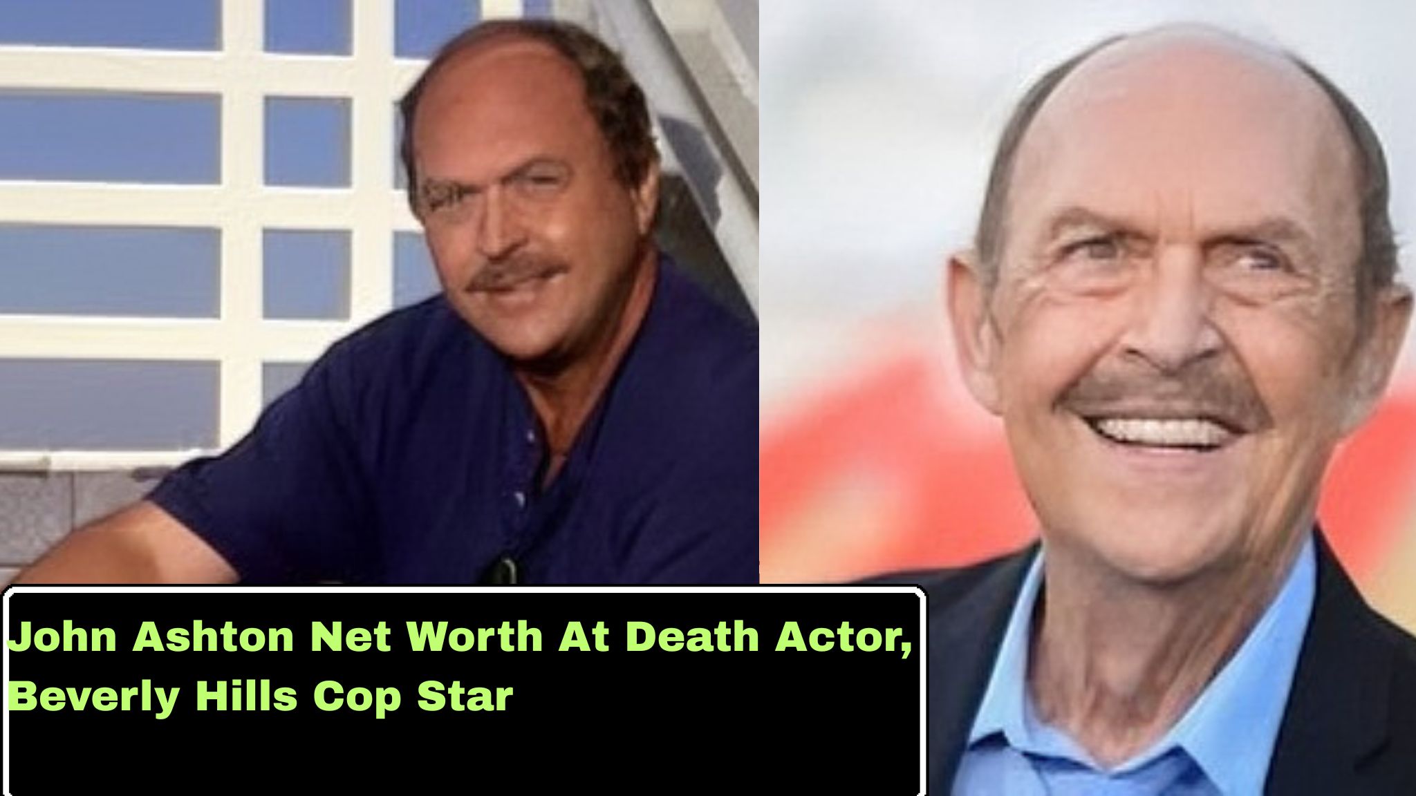 John Ashton Net Worth At Death Actor, Beverly Hills Cop Star